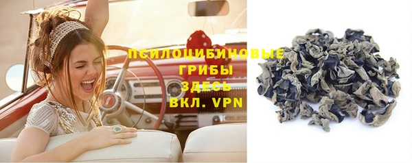 марки nbome Богданович
