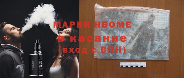 шишки Верея