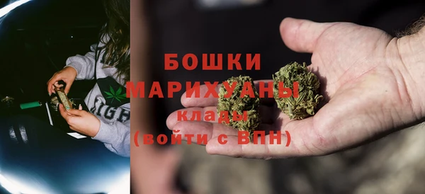 шишки Верея