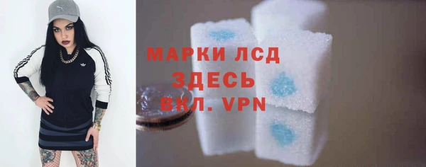шишки Верея