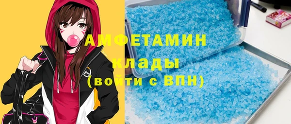 шишки Верея