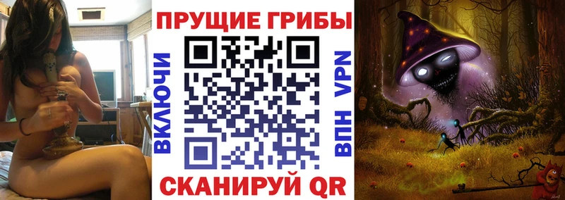 Галлюциногенные грибы Magic Shrooms  закладка  мега вход  Кадников 