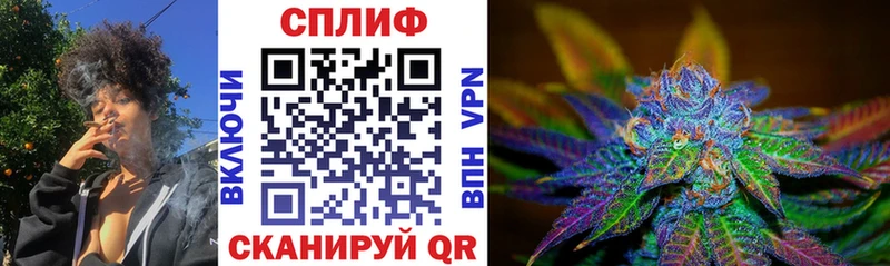 Конопля планчик  Кадников 